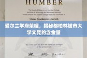 都柏林城市大学文凭，探寻爱尔兰教育明珠的卓越价值