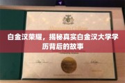 揭开白金汉荣耀，探寻学历背后的不凡传奇