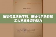 探寻代尔夫特理工大学毕业证背后的全球影响力