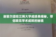 探索谢菲尔德哈兰姆大学成绩单背后，揭秘学术成就的神秘画卷