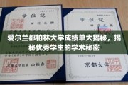 探索都柏林大学卓越学子成绩单背后的学术奥秘