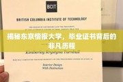 东京情报大学，毕业证书背后的传奇之旅