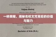 名校文凭的魅力，一桥连荣耀，价值何在？