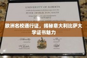欧洲学府通行证，揭秘比萨大学证书的独特魅力