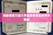 解码谢菲尔德大学成绩单，探寻学术成就的神秘面纱