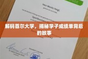 首尔大学风云录，揭秘学子卓越成绩背后的传奇经历