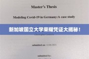新加坡国立大学学位证书背后的独特奥秘