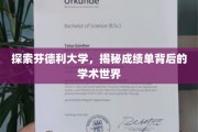 解码芬德利大学，揭开成绩单背后的学术奥秘