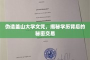 学历认证陷阱，伪造釜山大学文凭背后的灰色交易
