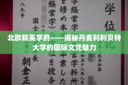 丹麦利利贝特大学，北欧精英教育之光，国际文凭的非凡吸引力
