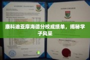 解码康科迪亚摩海德精英，学子风采大揭秘记