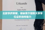 北欧教育瑰宝，奥尔胡斯大学学位证背后的独特风采