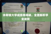 休斯顿大学成绩单揭秘，深度解读学子学业成就全貌