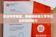 探寻明斯特大学学位证的欧洲学府风采