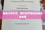 鲁顿大学文凭揭秘，名校光环下的真实价值与挑战