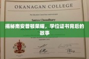 南安普顿荣耀揭秘，学位证书背后的传奇历程