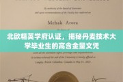 丹麦技术大学毕业生文凭，北欧精英学府认证，职场含金量一触即发