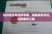 探寻纽约布法罗学院，破解真伪学位证的神秘鉴定之旅