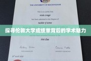解码伦敦大学成绩单，一场学术与智慧的精彩对话