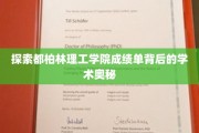 解码都柏林理工学院成绩单的学术密码
