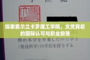 解码爱尔兰卡罗理工学院，国际通行证背后的无限可能