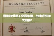 加州学霸养成记，揭秘顶尖理工院校的卓越之路