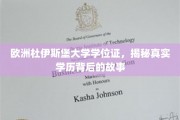 欧洲杜伊斯堡大学学位证之谜，探寻学历认证背后的真实轨迹