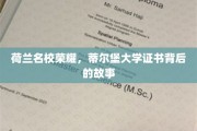 荷兰名校荣耀，蒂尔堡大学证书背后的故事