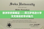 解码荷兰萨克逊，探索欧洲顶尖学府的学术风采