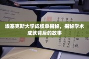 揭开埃塞克斯大学成绩单背后的辉煌篇章