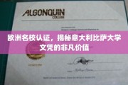 意大利比萨大学文凭，欧洲名校认证背后的非凡魅力