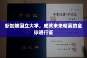 解码未来，新加坡国立大学，国际精英培育摇篮