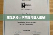 康大荣耀证书背后的独家探秘之旅