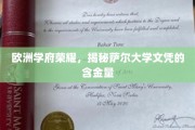 欧洲教育瑰宝，萨尔大学学位的非凡价值揭秘