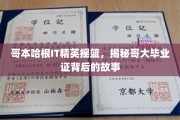 哥大光环下的哥本哈根，揭秘IT精英的摇篮传奇