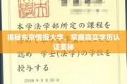 探秘东京情报大学，揭秘学历认证背后的秘密世界