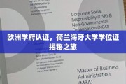 探索荷兰海牙大学学位证的欧洲学府认证奥秘