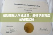 学霸养成记，威斯康星大学成绩单揭秘高效学习策略