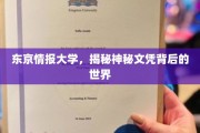 揭开东京情报大学文凭之谜，隐藏的精英教育面纱