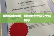 利默里克大学新里程，开启你的学术成就之旅