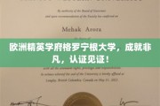 格罗宁根大学，精英摇篮，非凡成就，权威认证展辉煌