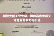 揭秘大阪工业大学，顶尖文凭背后的实力密码与无限机遇
