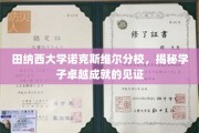 田纳西大学之光，诺克斯维尔分校学子非凡成就背后的故事