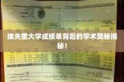探索埃夫里大学成绩单背后的神秘学术世界