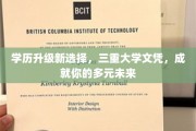 解锁未来职场新境界，三重文凭，多元化发展一步到位