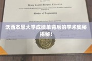 沃西本恩大学成绩单，探寻学术成就的神秘面纱