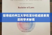 石溪分校成绩单，揭秘学术秘境中的纽约州立大学传奇