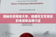 东京情报大学，学历背后的国际职场通行证，揭开就业新篇章