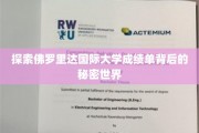 解码佛罗里达国际大学成绩单，揭秘学术奥秘的神秘之门