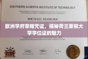 荷兰莱顿大学学位证，欧洲名校的荣耀印记，一睹其独特魅力
